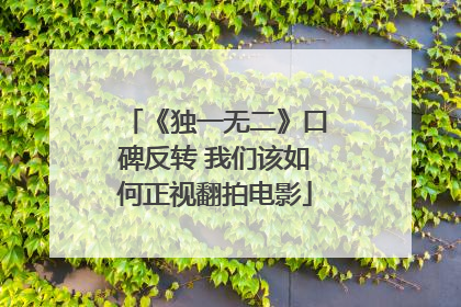 《独一无二》口碑反转 我们该如何正视翻拍电影