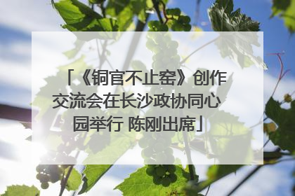 《铜官不止窑》创作交流会在长沙政协同心园举行 陈刚出席