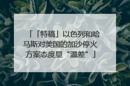 「特稿」以色列和哈马斯对美国的加沙停火方案态度显“温差”