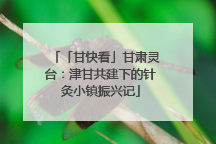 「甘快看」甘肃灵台：津甘共建下的针灸小镇振兴记