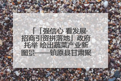 「强信心 看发展·招商引资拼落地」政府托举 绘出蔬菜产业新图景——镇原县甘肃聚广利现代设施蔬菜种植基地见闻