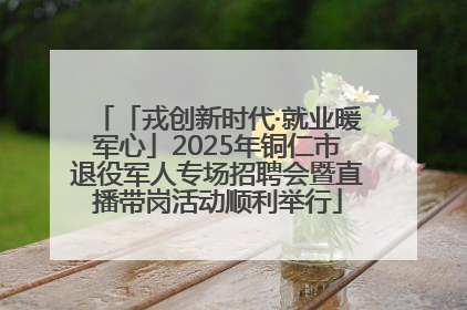 「戎创新时代·就业暖军心」2025年铜仁市退役军人专场招聘会暨直播带岗活动顺利举行