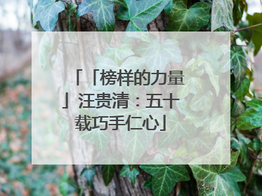 「榜样的力量」汪贵清：五十载巧手仁心