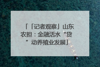 「记者观察」山东农担：金融活水“贷”动养殖业发展