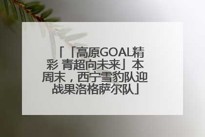 「高原GOAL精彩 青超向未来」本周末，西宁雪豹队迎战果洛格萨尔队