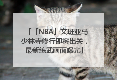 「NBA」文班亚马少林寺修行即将出关，最新练武画面曝光
