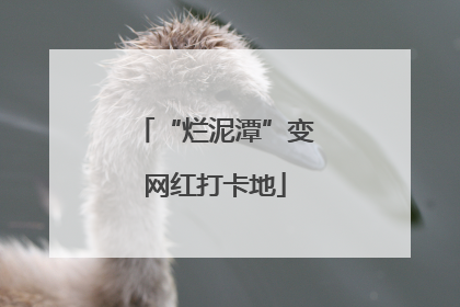 “烂泥潭”变网红打卡地