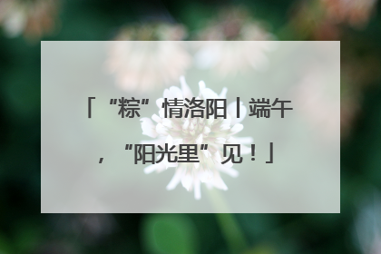 “粽”情洛阳丨端午，“阳光里”见！