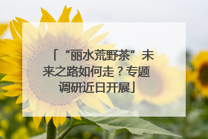 “丽水荒野茶”未来之路如何走？专题调研近日开展
