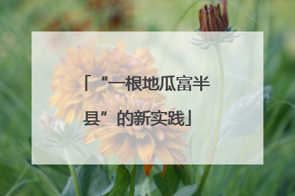 “一根地瓜富半县”的新实践