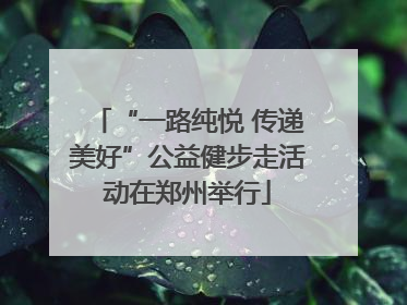 “一路纯悦 传递美好”公益健步走活动在郑州举行