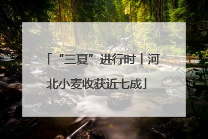 “三夏”进行时丨河北小麦收获近七成