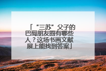 “三苏”父子的巴蜀朋友圈有哪些人？这场书画文献展上能找到答案