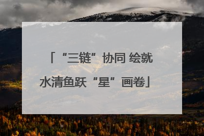 “三链”协同 绘就水清鱼跃“星”画卷