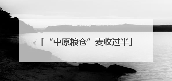 “中原粮仓”麦收过半