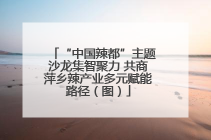 “中国辣都”主题沙龙集智聚力 共商萍乡辣产业多元赋能路径（图）