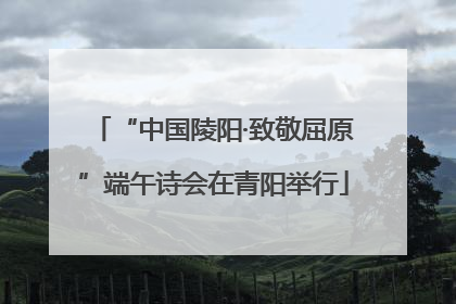 “中国陵阳·致敬屈原”端午诗会在青阳举行