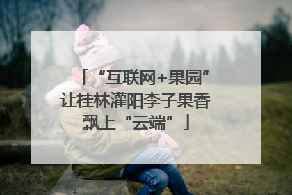 “互联网+果园”让桂林灌阳李子果香飘上“云端”