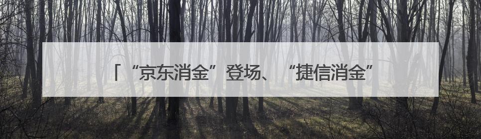 “京东消金”登场、“捷信消金”退场！新平台如何打破财务困局？