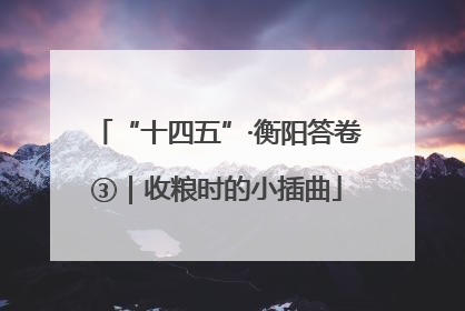 “十四五”·衡阳答卷③｜收粮时的小插曲