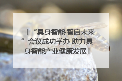 “具身智能·智启未来”会议成功举办 助力具身智能产业健康发展