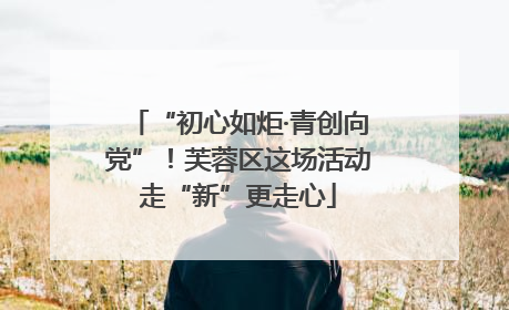 “初心如炬·青创向党”！芙蓉区这场活动走“新”更走心
