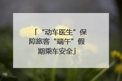 “动车医生”保障旅客“端午”假期乘车安全