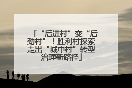“后进村”变“后劲村”！胜利村探索走出“城中村”转型治理新路径