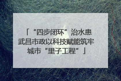 “四步闭环”治水患 武昌市政以科技赋能筑牢城市“里子工程”