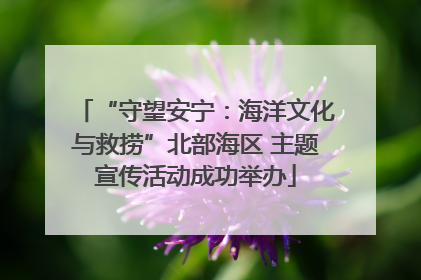 “守望安宁:海洋文化与救捞”北部海区 主题宣传活动成功举办
