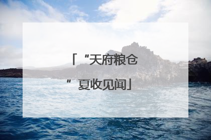 “天府粮仓”夏收见闻