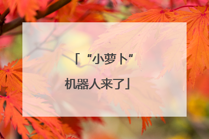 “小萝卜”机器人来了