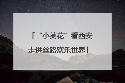 “小葵花”看西安走进丝路欢乐世界