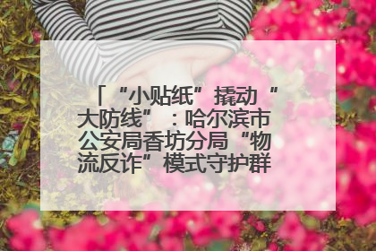 “小贴纸”撬动“大防线”：哈尔滨市公安局香坊分局“物流反诈”模式守护群众“钱袋子”
