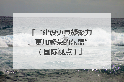 “建设更具凝聚力、更加繁荣的东盟”（国际视点）