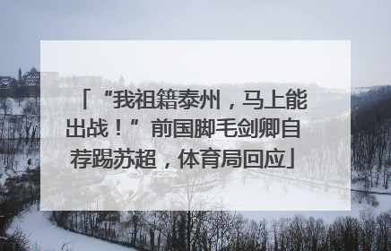 “我祖籍泰州，马上能出战！”前国脚毛剑卿自荐踢苏超，体育局回应