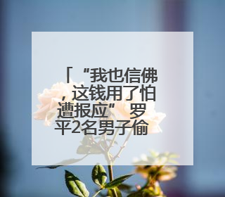 “我也信佛，这钱用了怕遭报应” 罗平2名男子偷走功德箱却一分没敢花