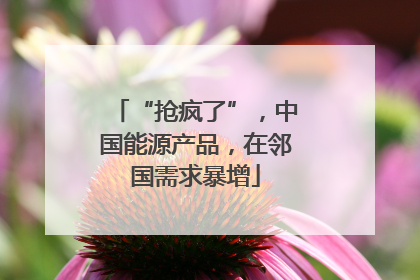 “抢疯了”，中国能源产品，在邻国需求暴增