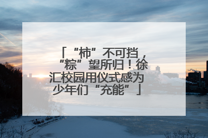 “柿”不可挡，“粽”望所归！徐汇校园用仪式感为少年们“充能”