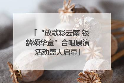“放歌彩云南 银龄颂华章”合唱展演活动盛大启幕
