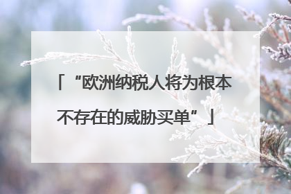 “欧洲纳税人将为根本不存在的威胁买单”