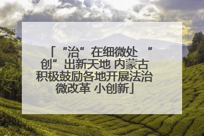 “治”在细微处 “创”出新天地 内蒙古积极鼓励各地开展法治微改革 小创新