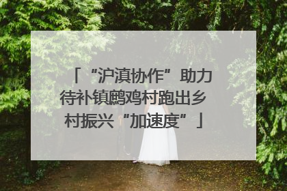 “沪滇协作”助力待补镇鹧鸡村跑出乡村振兴“加速度”