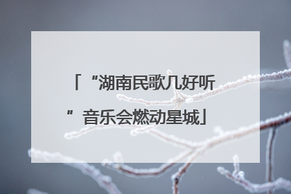 “湖南民歌几好听”音乐会燃动星城