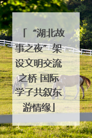 “湖北故事之夜”架设文明交流之桥 国际学子共叙东游情缘