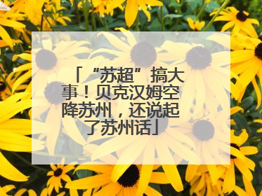 “苏超”搞大事！贝克汉姆空降苏州，还说起了苏州话