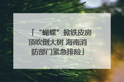 “蝴蝶”掀铁皮房顶吹倒大树 海南消防部门紧急排险