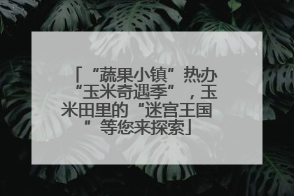 “蔬果小镇”热办“玉米奇遇季”，玉米田里的“迷宫王国”等您来探索