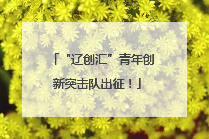 “辽创汇”青年创新突击队出征！