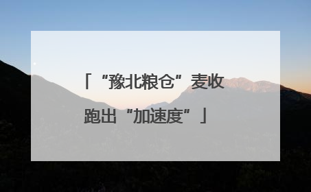 “豫北粮仓”麦收跑出“加速度”